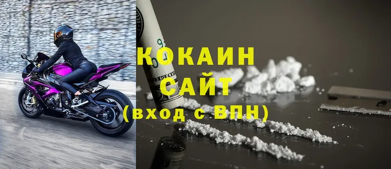 где купить   Грязовец  Cocaine FishScale 